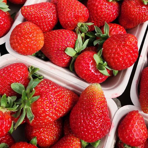 Fresh Picked Strawberries Klo Market Kelowna Bc