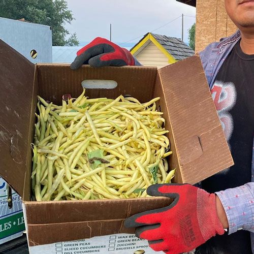 Fresh String Beans Klo Market Kelowna Bc