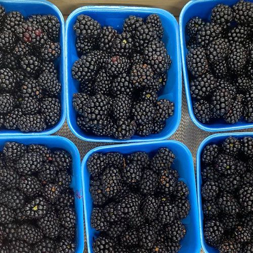 Fresh Blackberries Kelowna Klo Market