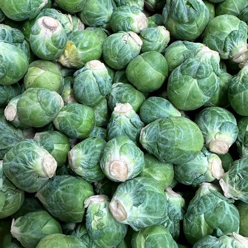 Brussel Sprouts KLO Farm Market