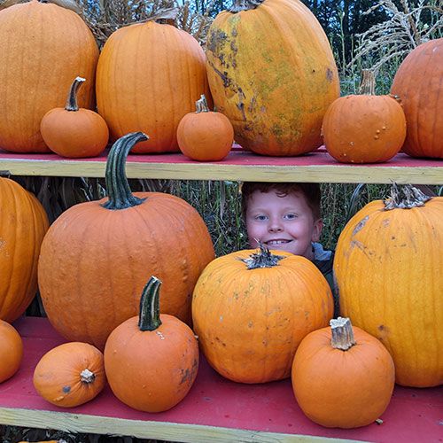 Kelowna Pumpkin Patch Klo Market