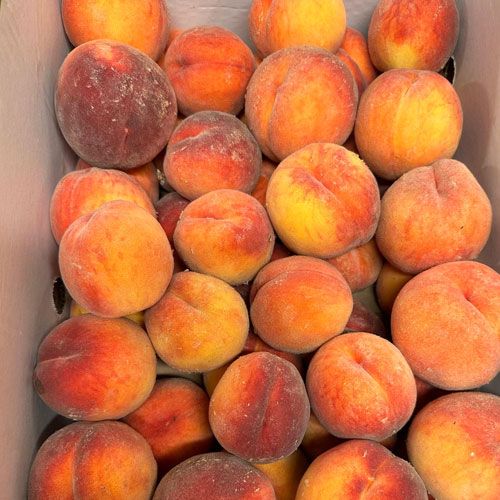 Fresh Peaches Klo Market Kelowna Bc